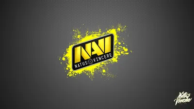 Download wallpaper Games, Dota, Natus Vincere, CS:GO, Navi, section games  in resolution 1680x1050