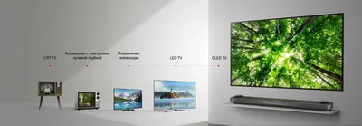 Как выбрать телевизор - LG Россия