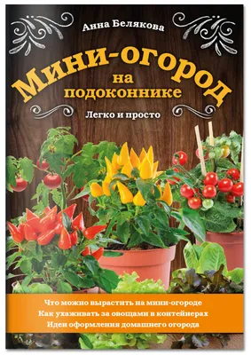 Огород на подоконнике | Детский сад №85