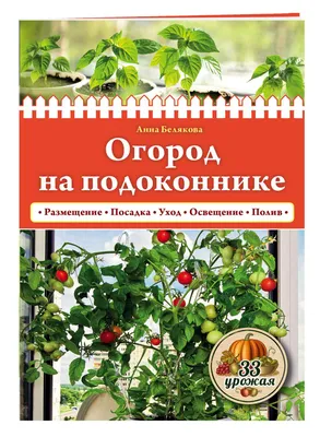 Мини-огород на подоконнике: что можно выращивать и как это сделать правильно