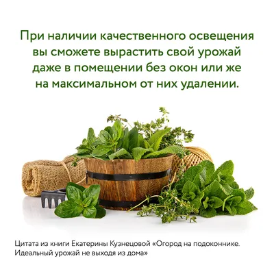Огород на подоконнике – скачать книгу fb2, epub, pdf на ЛитРес