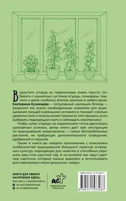 Мини-огород на подоконнике, Анна Белякова – скачать pdf на ЛитРес