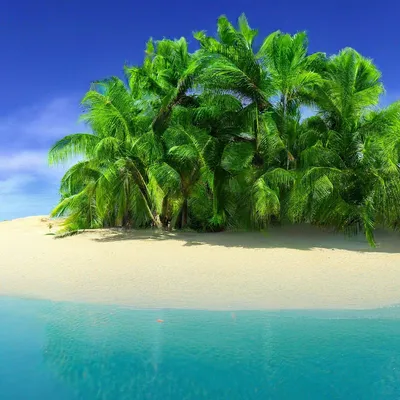 Маленький остров с пальмой (55 фото) - 55 фото