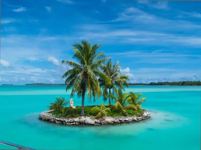 Необитаемый остров с пальмой на пляже Стоковое Фото - изображение  насчитывающей праздник, рай: 35138372