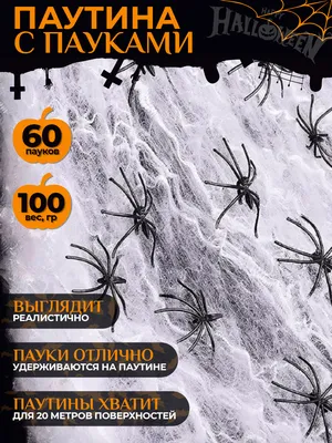 К чему снятся пауки по соннику: толкование снов про пауков