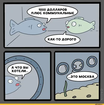 яо минь на аву / смешные картинки и другие приколы: комиксы, гиф анимация,  видео, лучший интеллектуальный юмор.
