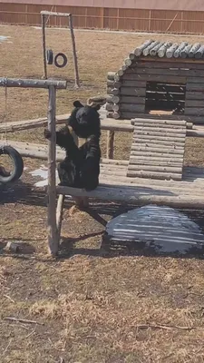 Ваш ребенок пошел в школу? Оптимизируйтесь!