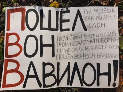 Ну что, первый пошёл!🐻🤸 — Парк Белый лев