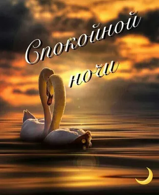 Пин от пользователя Сергей на доске спокойной ночи | Ночь, Спокойной ночи,  Цитаты про ночь