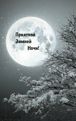 Зимние открытки \"Спокойной ночи!\" (264 шт.)