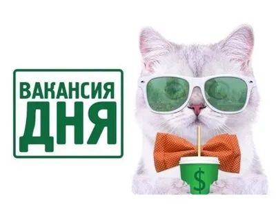Областное государственное бюджетное профессиональное образовательное  учреждение «Новгородский агротехнический техникум» | ПРИГЛАШАЕМ НА РАБОТУ  СТУДЕНТОВ!