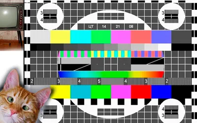 Картинка со звуком - \"Пиии\". Раньше ночью профилактика была по всем двум  телеканалам. Хочешь смотреть телевизор - жди утра | Степан  Корольков~Хранитель маяка | Дзен