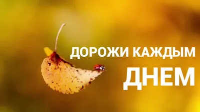 Идеология нетерпимости, или Как распознать экстремизм
