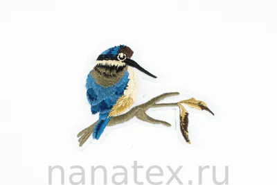 птица на ветке png images | PNGEgg