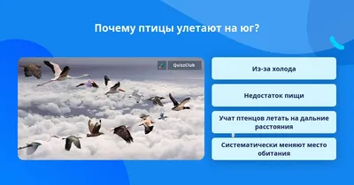 В Комлесхозе Подмосковья рассказали, какие птицы первыми улетают на юг