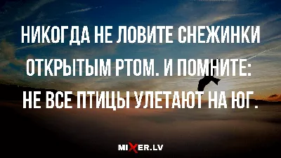 Огромный клин улетающих на юг журавлей заметили в небе над красноярским  заповедником - 27 сентября 2019 - НГС24