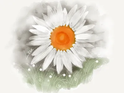Рисунки ромашки красивые (Множество фотографий) - drawpics.ru