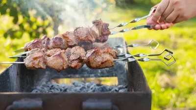 Шашлыки на природе 2023: где по закону можно и где нельзя жарить мясо |  Ямал-Медиа
