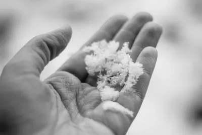 Gismeteo - Если снежинка в вашей ладони не растает, пока часы двенадцать  бьют, вы можете не только загадать желание, но и изучить ее структуру.  Ходит мнение, что каждая снежинка уникальна. Но мы