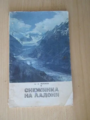 Рисование «Снежинка» в среднем дошкольном возрасте (5 фото). Воспитателям  детских садов, школьным учителям и педагогам - Маам.ру