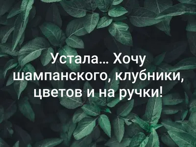 Хочу на ручки!\"