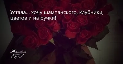 Картинки \"Хочу на ручки!\" (61 фото) 🔥 Прикольные картинки и юмор