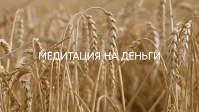 Свеча Аркан Таро \"Императрица\" ручной работы / Свечи магические /  ритуальные / заряженные / эзотерические / колдовские / заговоренные -  купить с доставкой по выгодным ценам в интернет-магазине OZON (392704565)