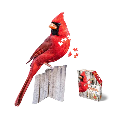 I AM CARDINAL 300 – Madd Capp Games