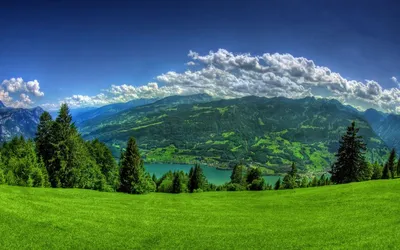 1280 X 800 Nature Wallpapers - Top Free 1280 X 800 Nature Backgrounds -  WallpaperAccess