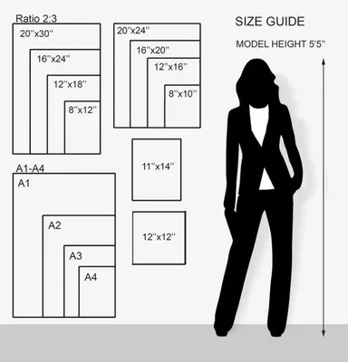 Helpful Photo Frame Size Conversion Chart for Standard Frame Sizes