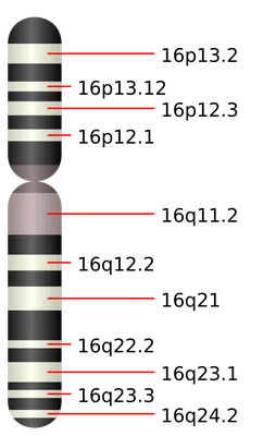 Aspect Ratios, Image Sizes, and Photograph Sizes | Shutterstock