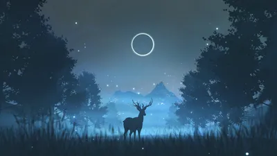 100+] 1920 X 1080 Hd Wallpapers | Wallpapers.com