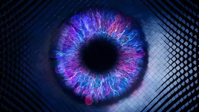 The Most Updated Instagram Video Size Guide for 2024 (Including Reels)