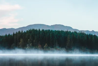 Download Enjoy the beauty of nature with this stunning 1920 x 1080 desktop  wallpaper. Wallpaper | Wallpapers.com