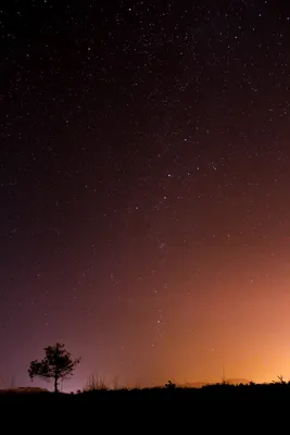 240x320 wallpapers for your phone. Download free pictures 240 x 320 for  mobile