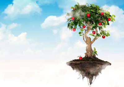 Apples Lay the Foundation for Regenerating Bone | The Scientist Magazine®