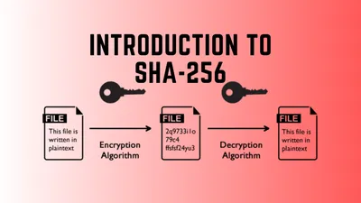 Factors of 256: Prime Factorization, Methods, and Example