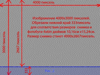 Бесплатное обучение фотографии. Цифровое изображение. | Мой взгляд | Дзен