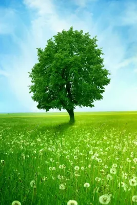 Free Desktop Wallpaper Calendars: June 2014 | Tim Challies