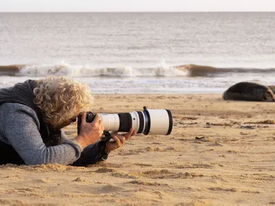 Olympus 150-400mm f/4.5 Lens Review for Wildlife Photography - Nature TTL