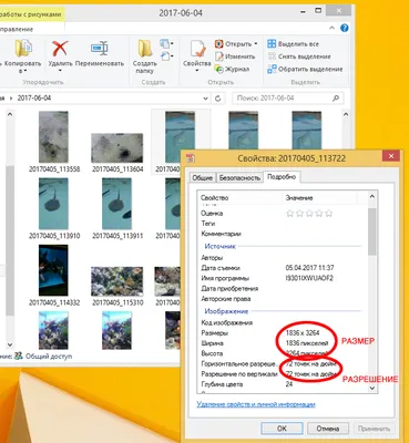 Плотность пикселей PPI — что это такое, оптимальное значение | Samsung  РОССИЯ