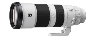 Fujifilm 100-400mm vs 150-600mm - The Full Comparison - Mirrorless  Comparison