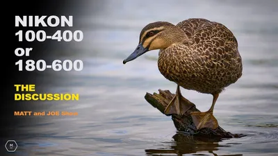NIKON Z 100-400 or 180-600 | Which Should You Choose? | Discussion with  Matt and Joe | Matt Irwin - YouTube