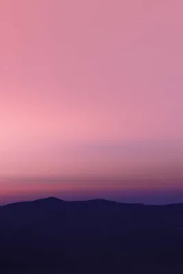 Systems Neuroscience - MIT McGovern Institute