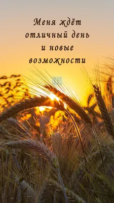 Аффирмация на день | Цветочные приглашения, Фоновые узоры, Обои