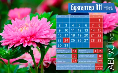 Обои для рабочего стола август природа