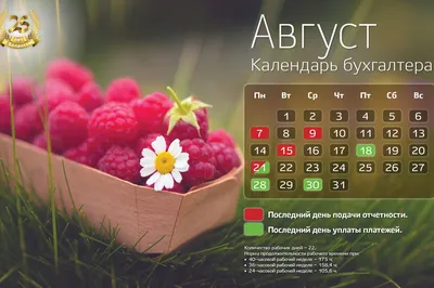 Красивый производственный календарь на август - КонтурНорматив