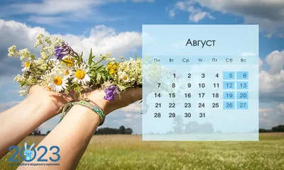 Красочные обои на рабочий стол на август 2017 года