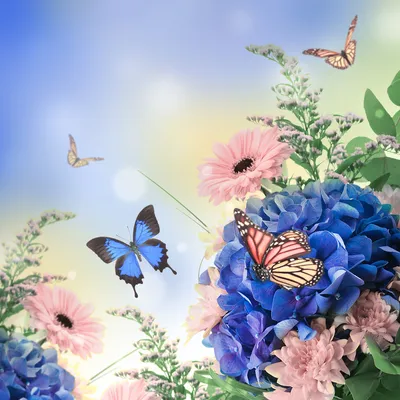 Картинки бабочки на цветах фотографии