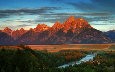 Bing wallpapers — Скачать
